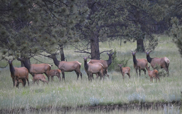 contact bar n i ranch colorado