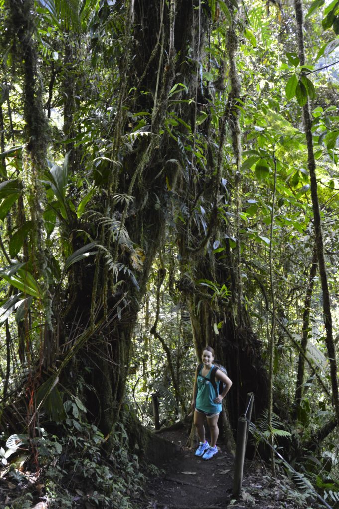 Hike near La Fortuna Costa Rica