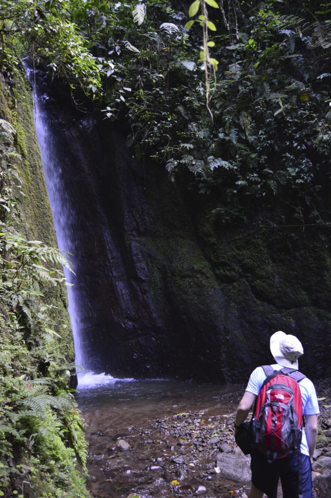 Waterfall near La Fortuna Costa Rica