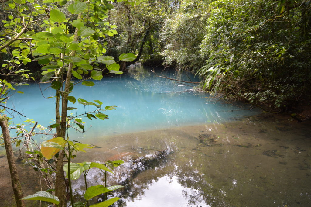 Rio Celeste near Tanorio Volcano National Park Costa Rica