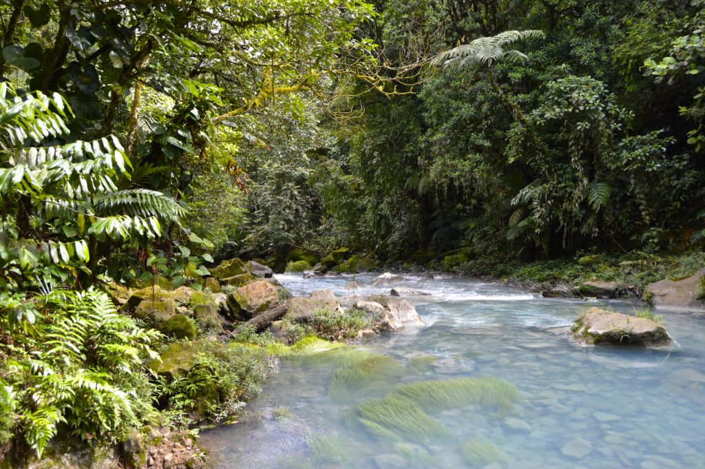 Rio Celeste near Tanorio Volcano National Park Costa Rica