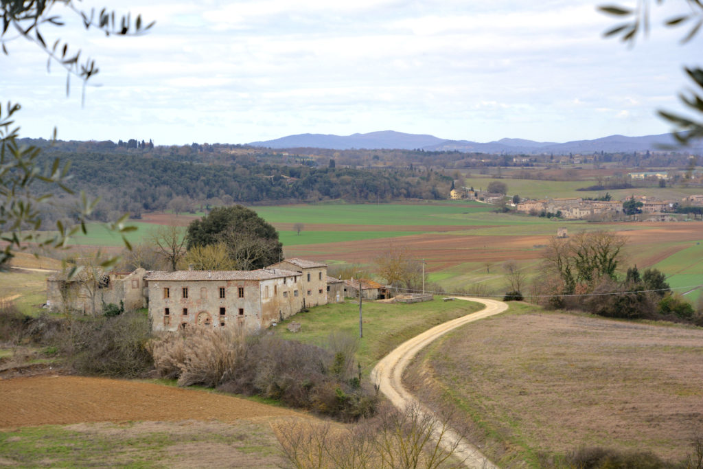 Tuscany Chianti Italy 