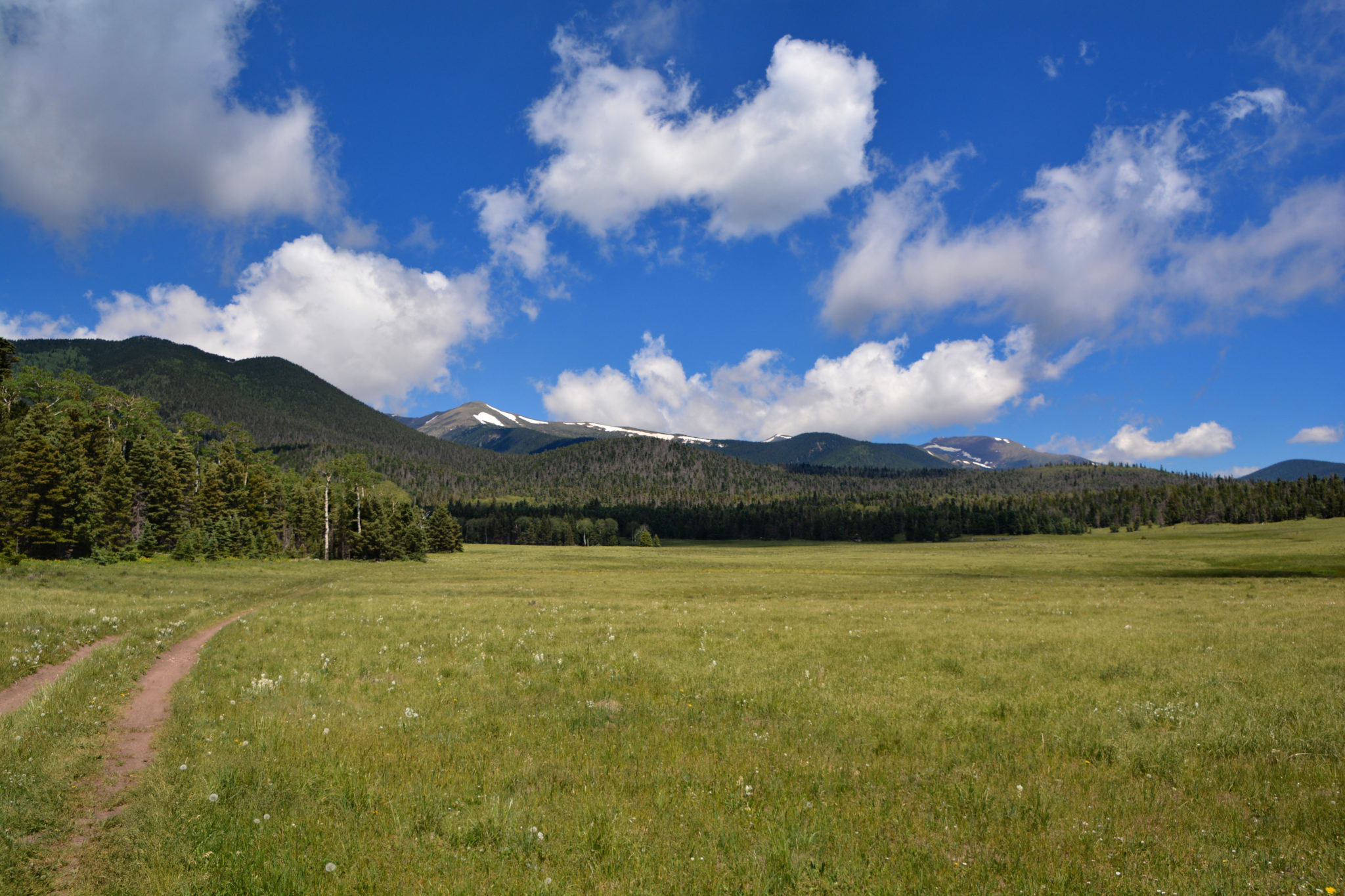 Colorado