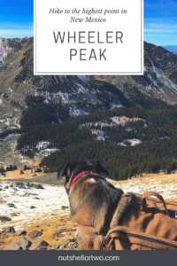 Wheeler Peak, New Mexico Hiking