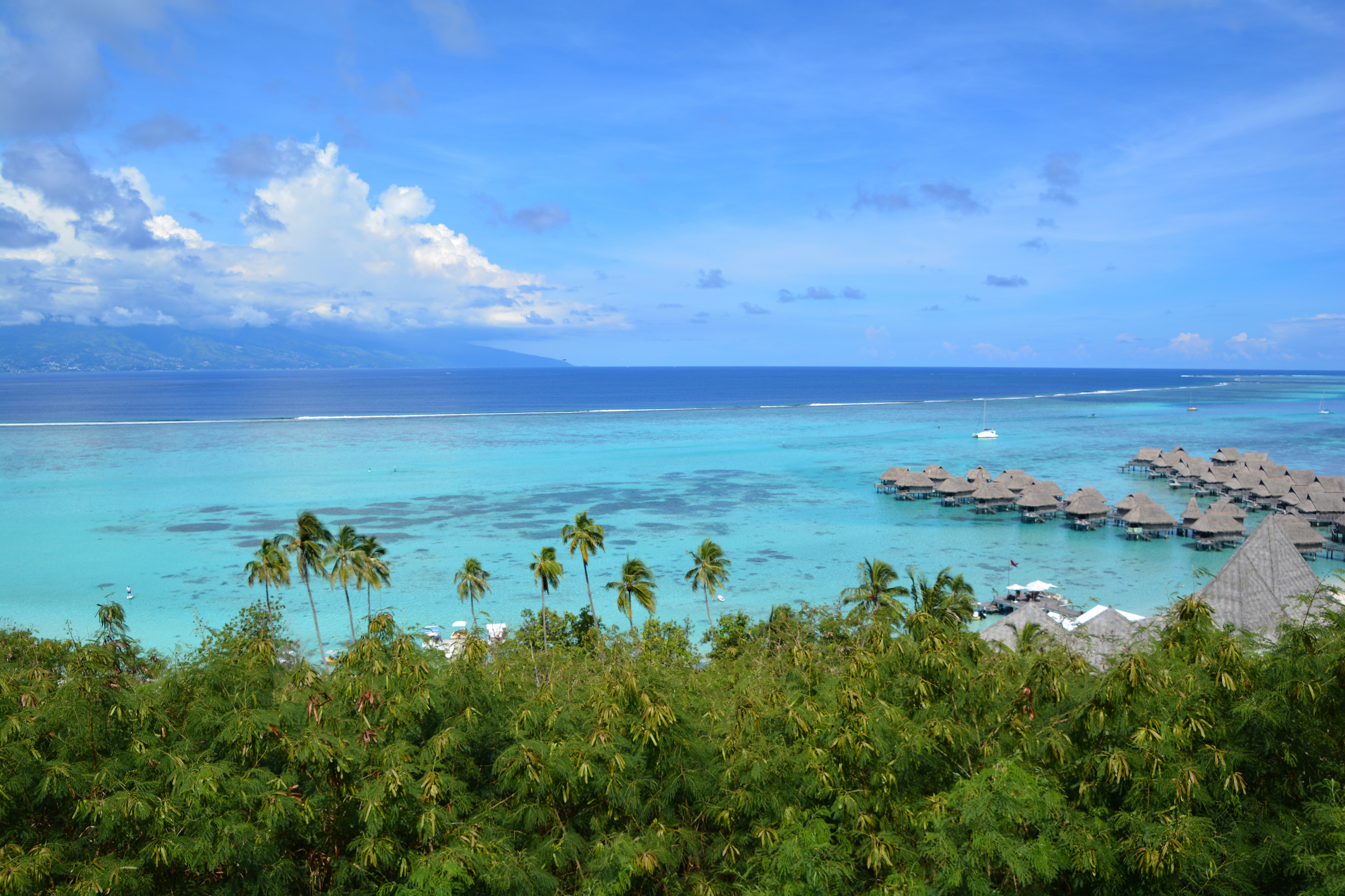 Things to do Moorea, Facts about Moorea