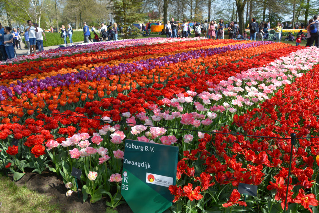 Keukenhof Gardens the Netherlands