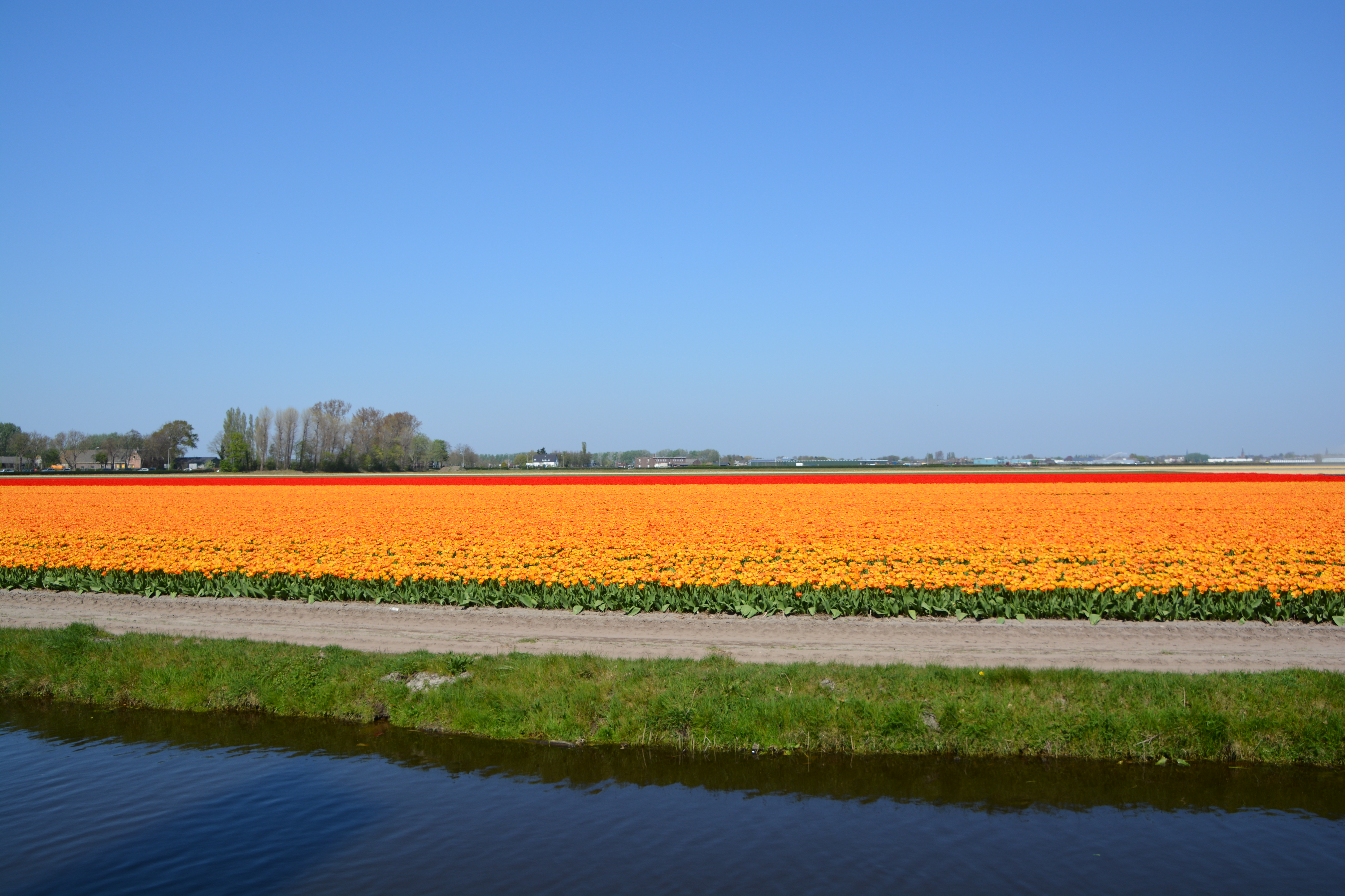 Keukenhof Gardens