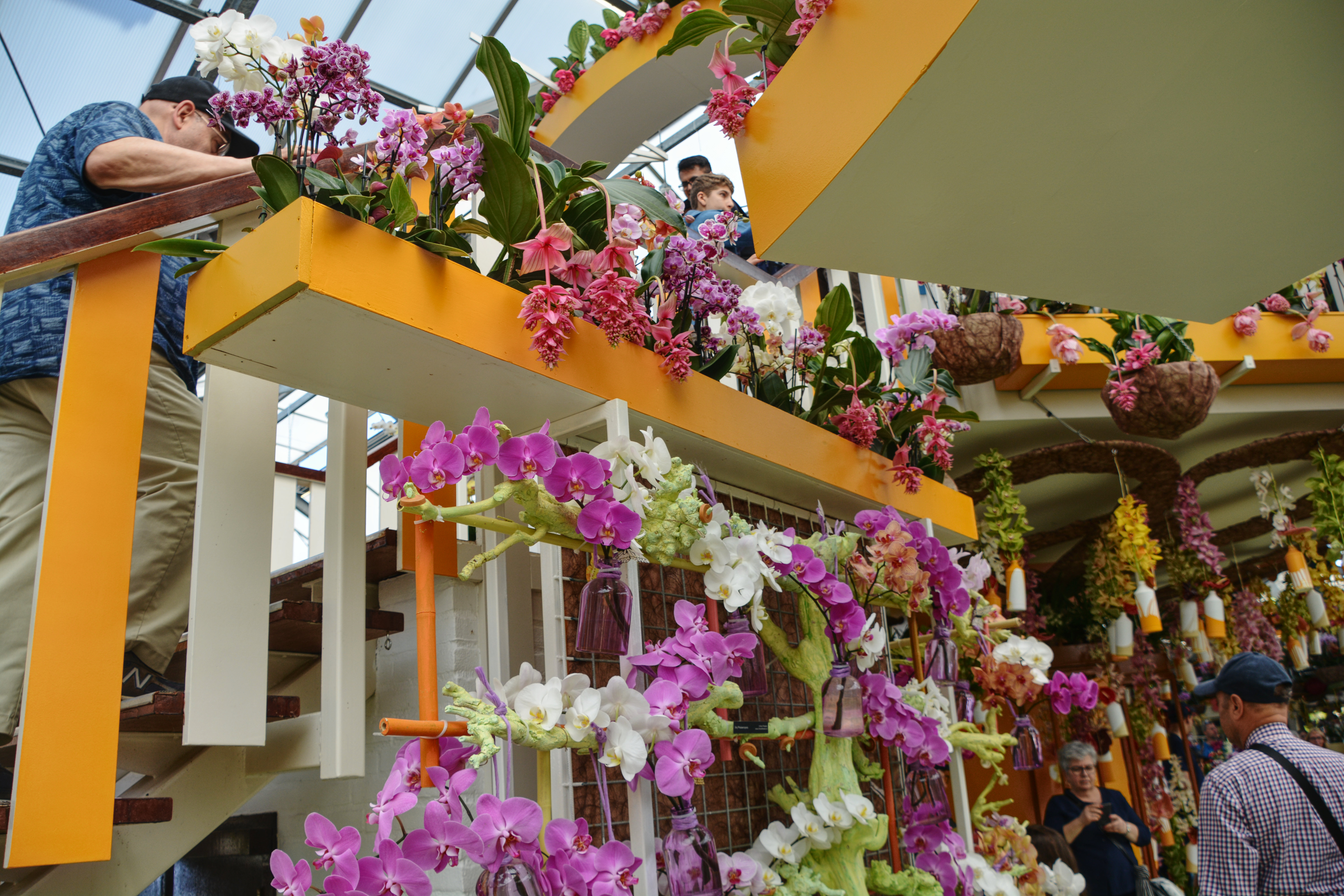 Events at Keukenhof Netherlands