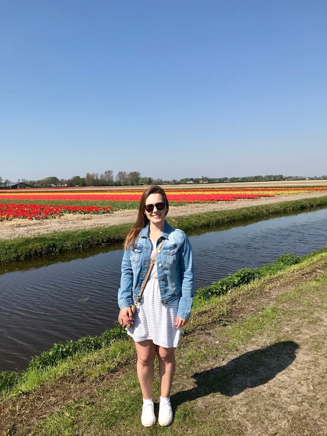 Tulip Fields near Keukenhof