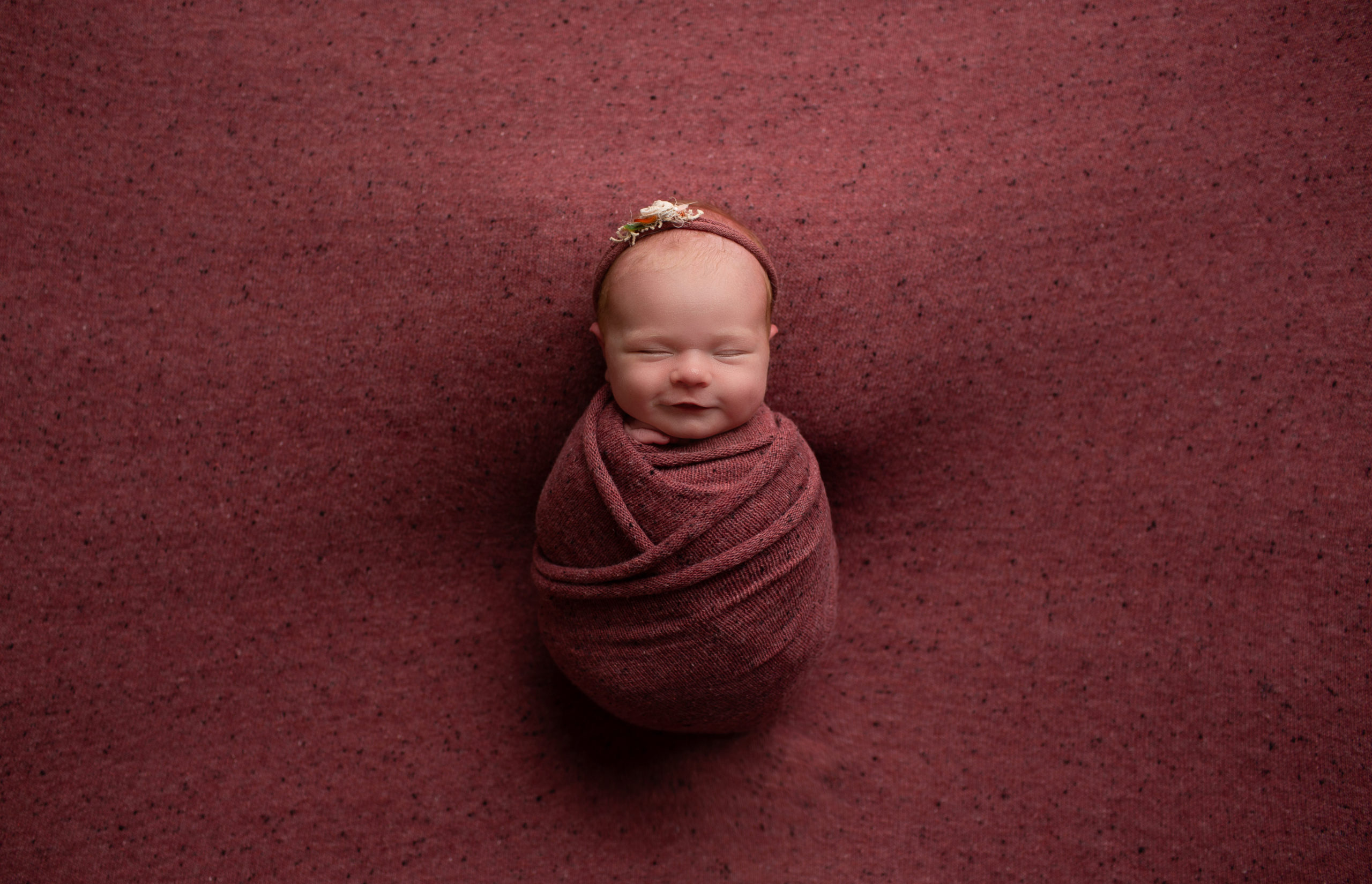 Winter Berry Newborn