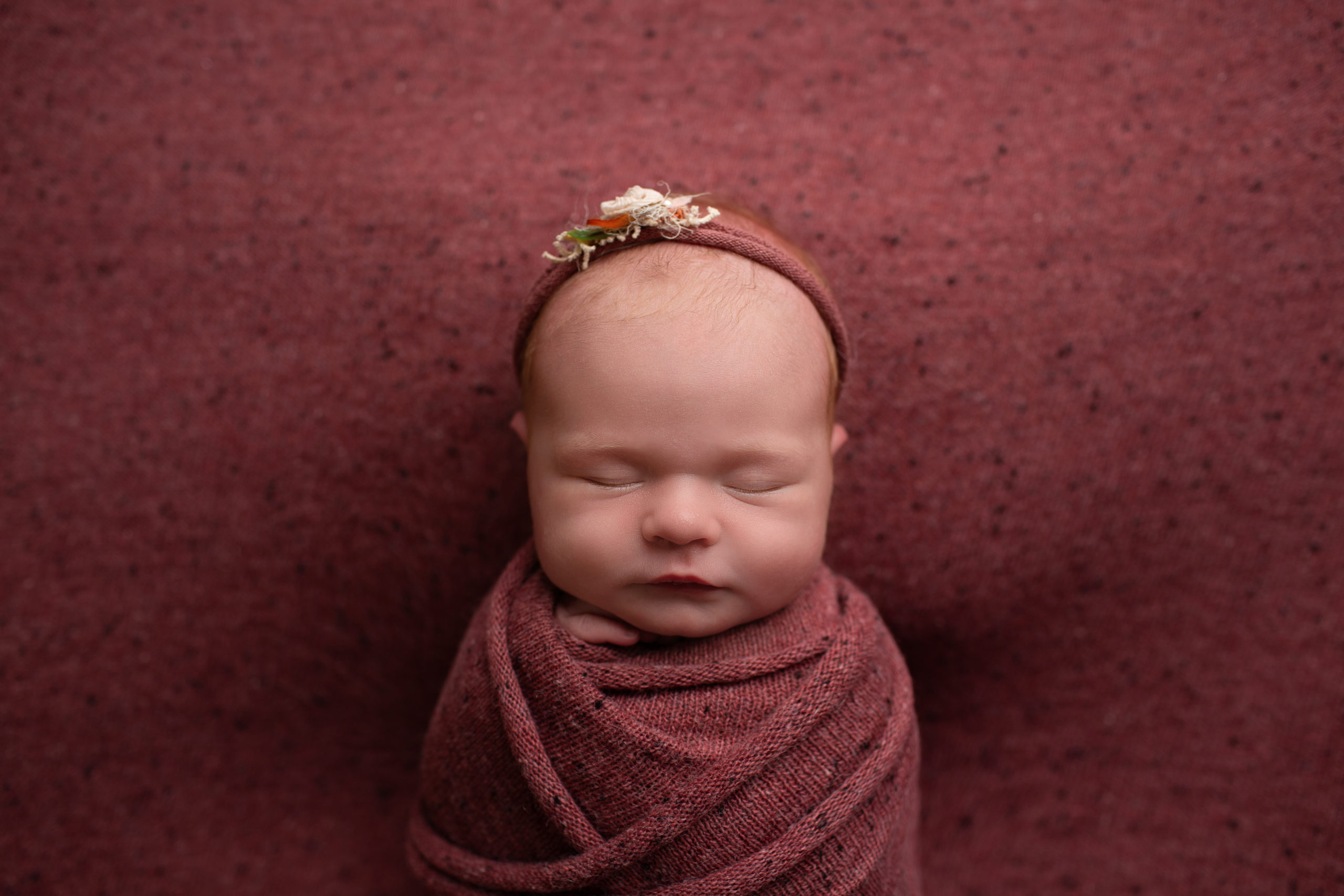 Fall Berry Girl Newborn