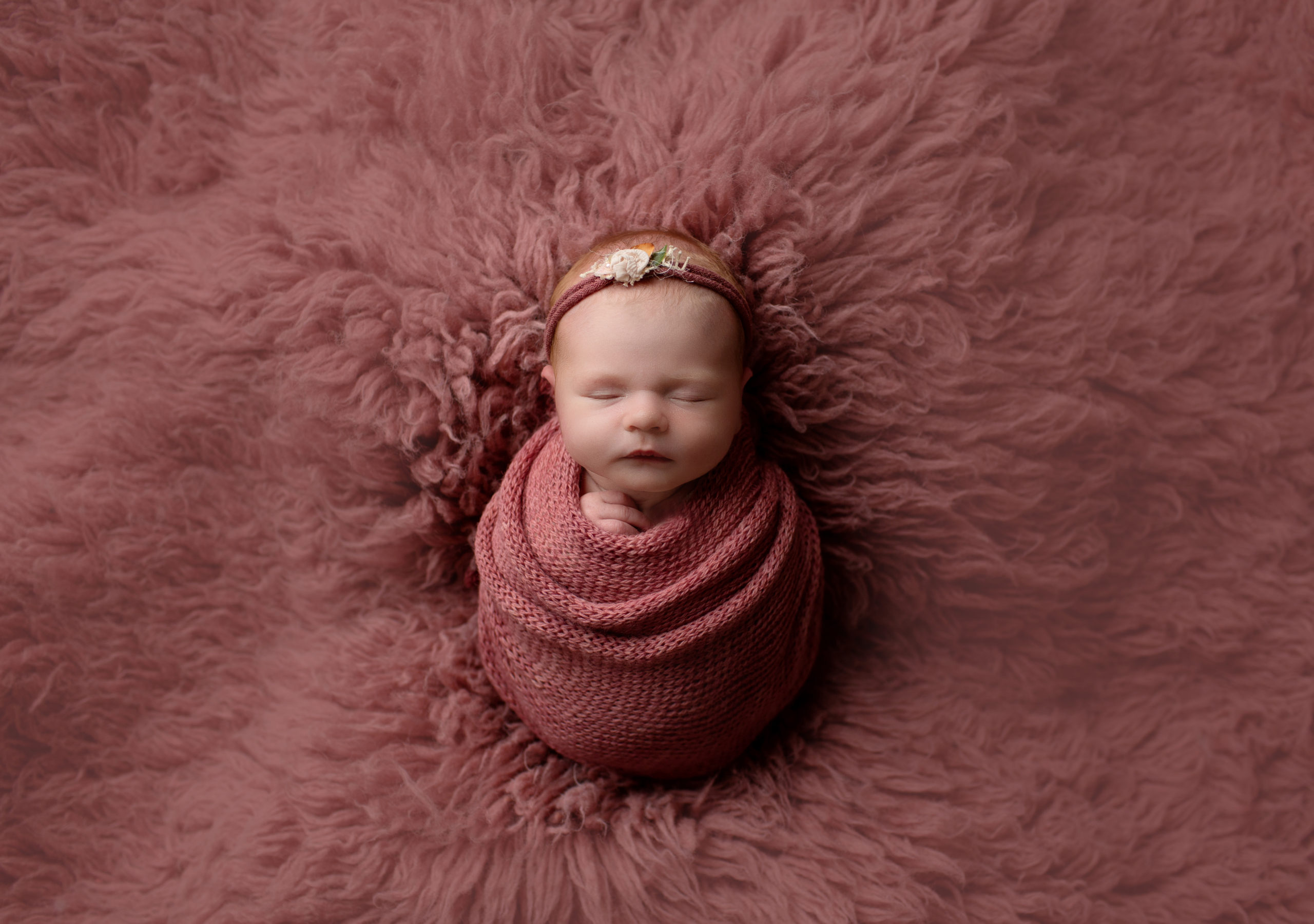 baby girl newborn, fall theme, berry color