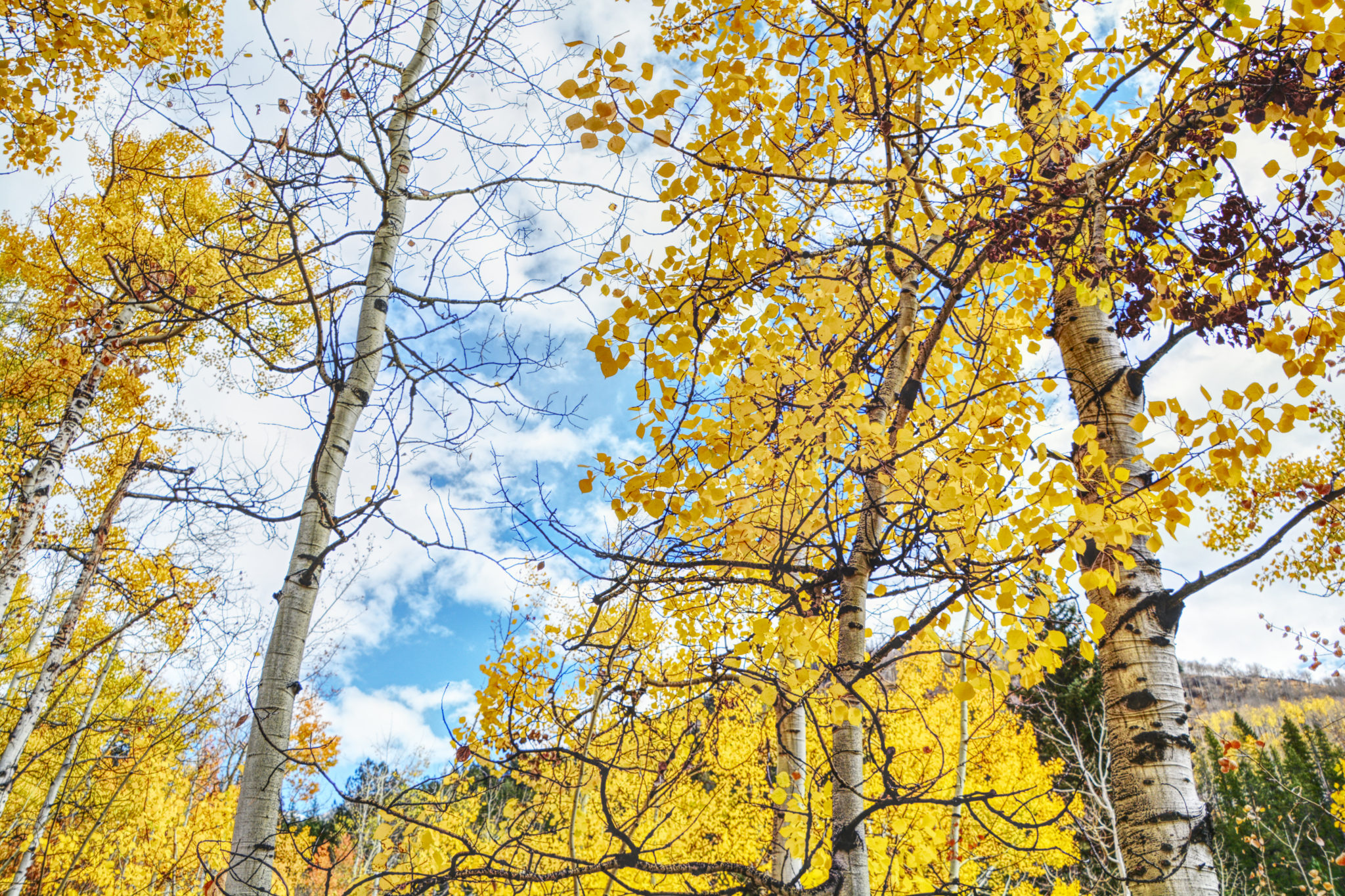 Hiking Mount Elbert September