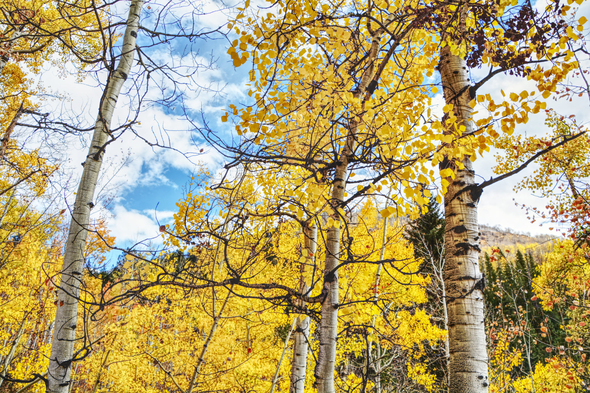 Hiking Mount Elbert September