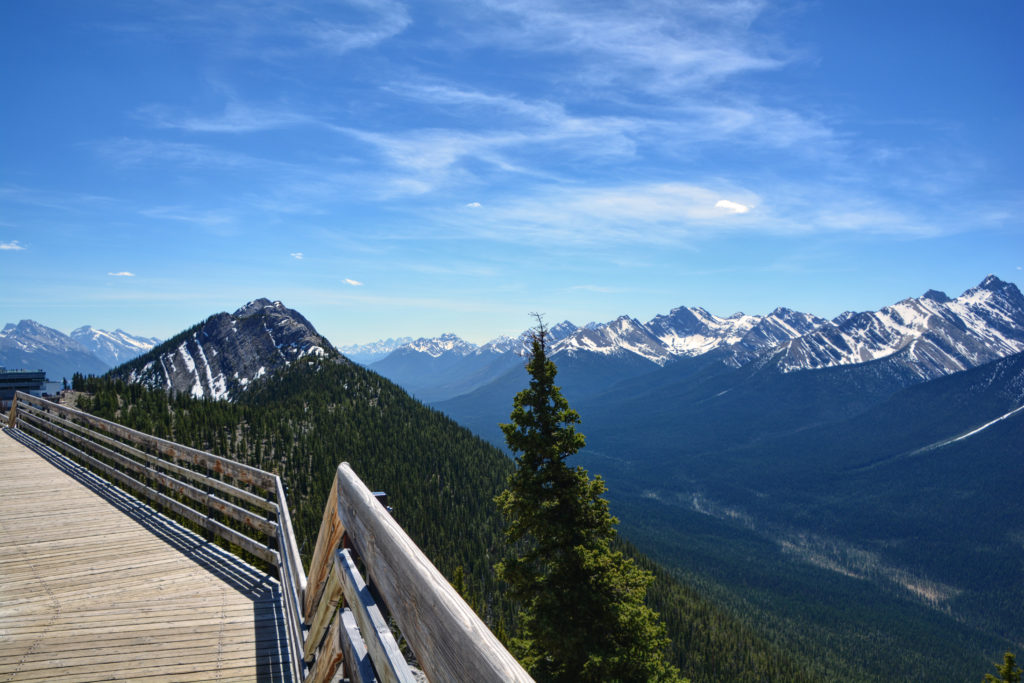 What to Expect Visiting the Banff Gondola | In a Nutshell... or Two