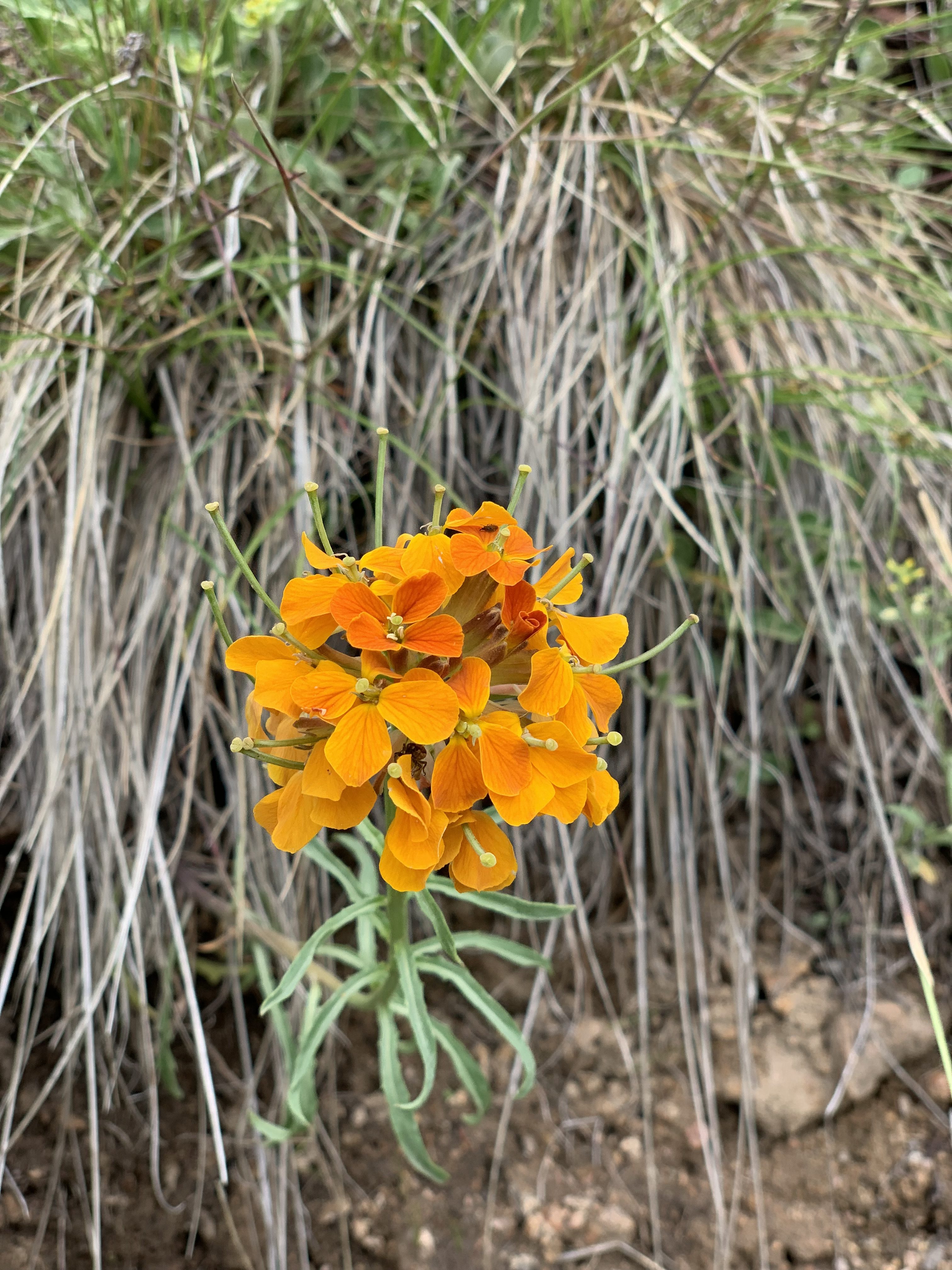 hiking in Colorado